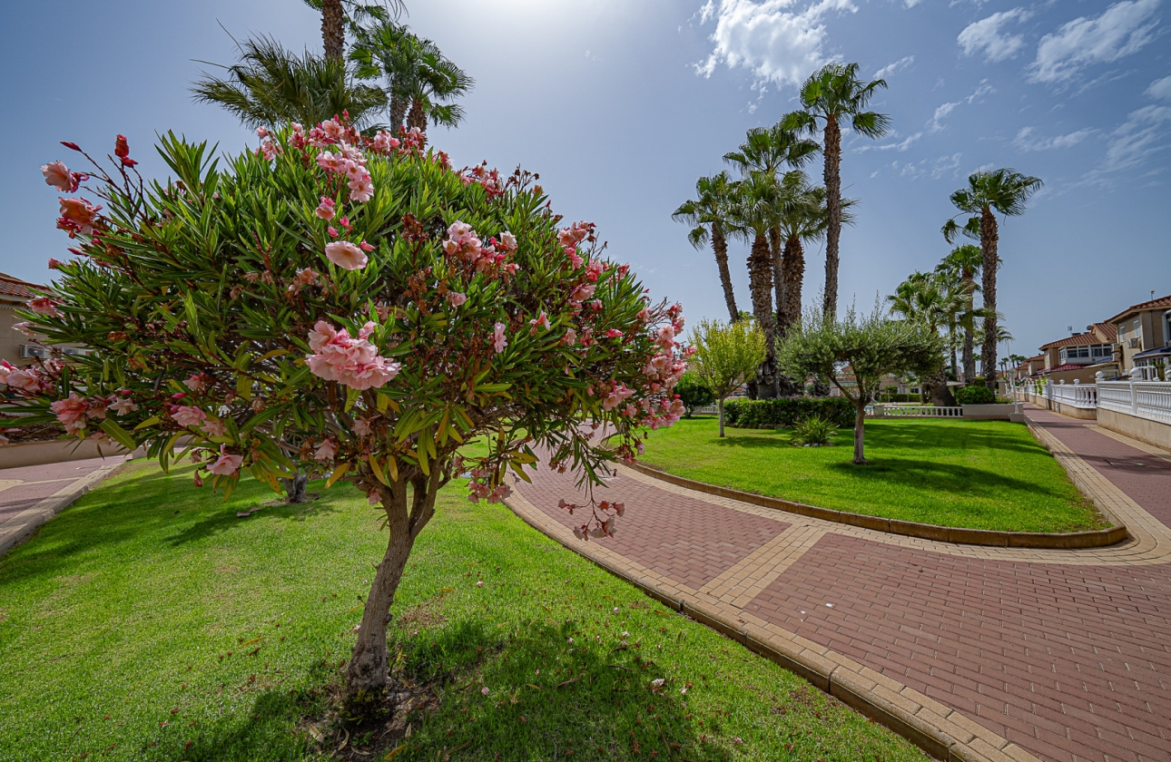 Rynek wtórny - Apartament - Orihuela Costa - Zenia Mar