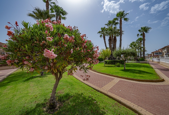 Rynek wtórny - Apartament - Orihuela Costa - Zenia Mar