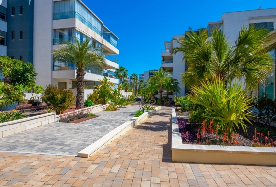 Rynek wtórny - Apartament - Orihuela Costa - Los Dolses