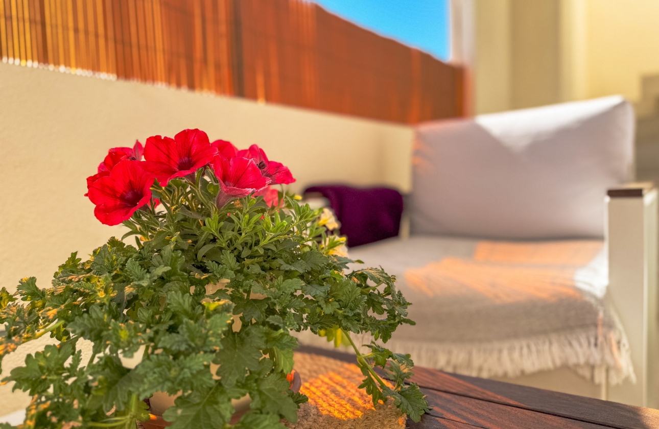 Rynek wtórny - Bungalow - Torrevieja - Los Altos