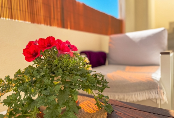 Rynek wtórny - Bungalow - Torrevieja - Los Altos