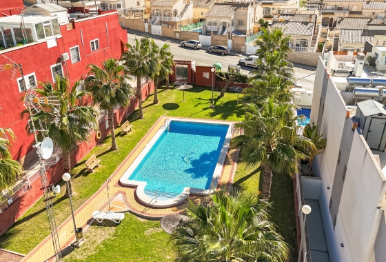 Rynek wtórny - Bungalow - Torrevieja - Los Altos
