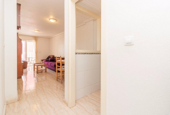Rynek wtórny - Apartament - Torrevieja - Centro