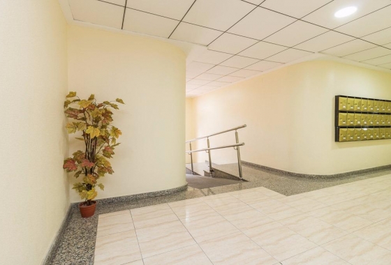 Rynek wtórny - Apartament - Torrevieja - Centro