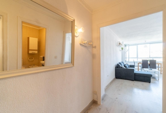 Rynek wtórny - Apartament - Torrevieja - Rocio Del Mar