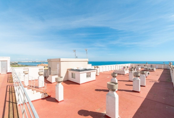 Rynek wtórny - Apartament - Torrevieja - Rocio Del Mar