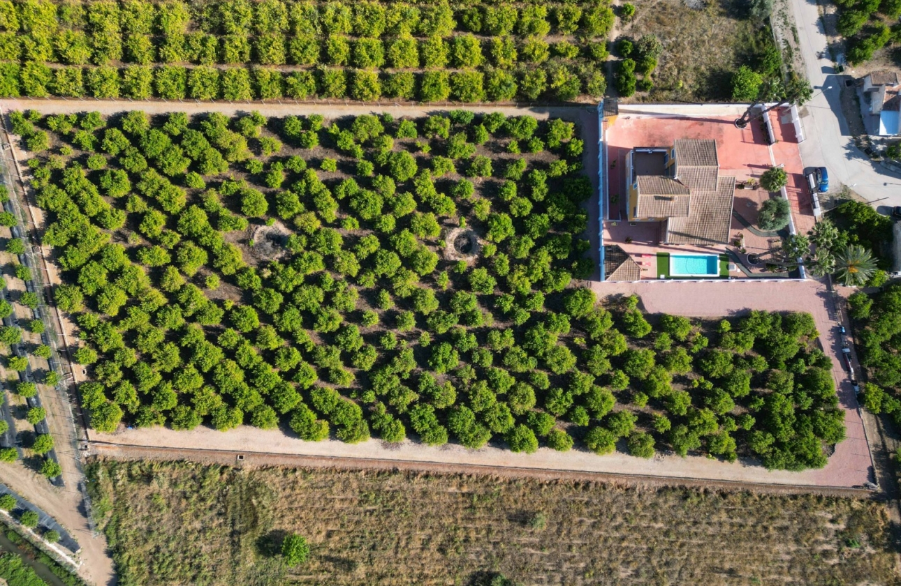 Rynek wtórny - Finca - Country Property - Orihuela