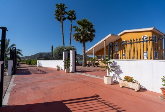 Rynek wtórny - Finca - Country Property - Orihuela