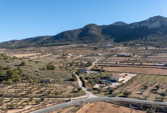 Reventa - Finca - Country Property - La Zarza