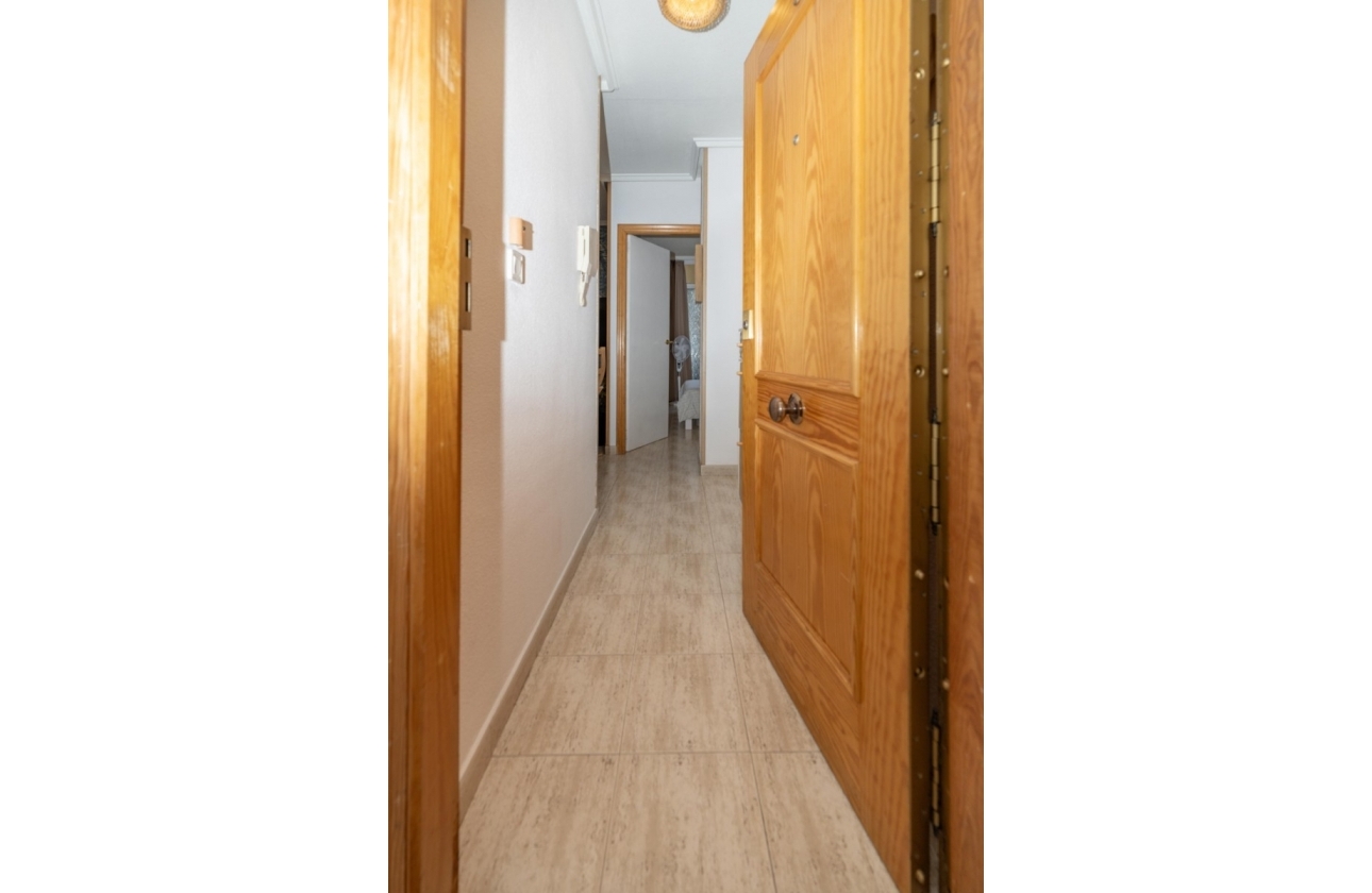 Rynek wtórny - Apartament - Torrevieja - Acequion