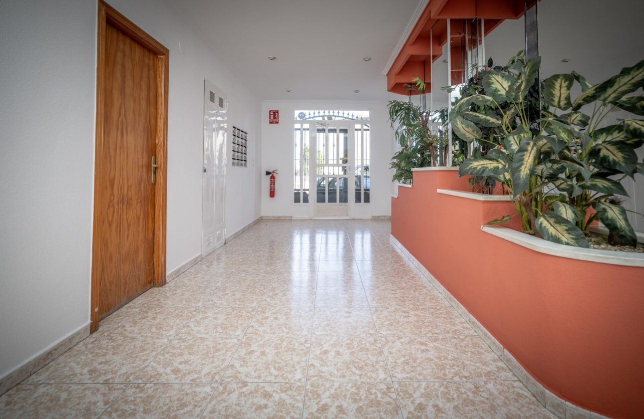 Rynek wtórny - Apartament - Torrevieja - Acequion