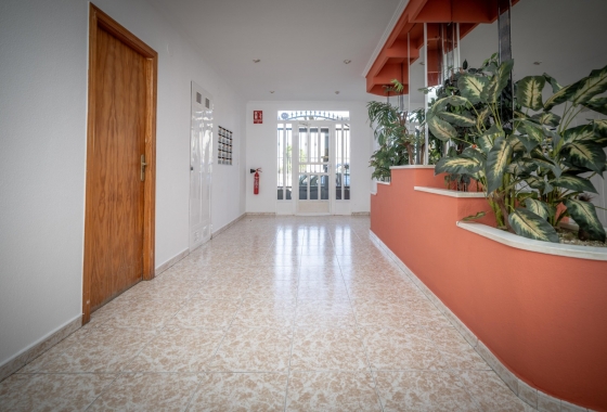 Rynek wtórny - Apartament - Torrevieja - Acequion
