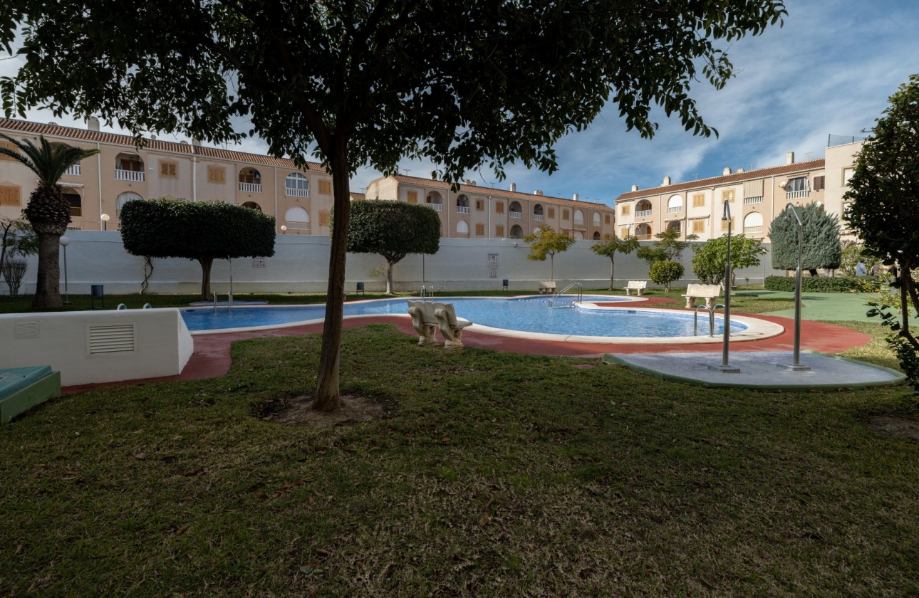 Rynek wtórny - Apartament - Torrevieja - Acequion