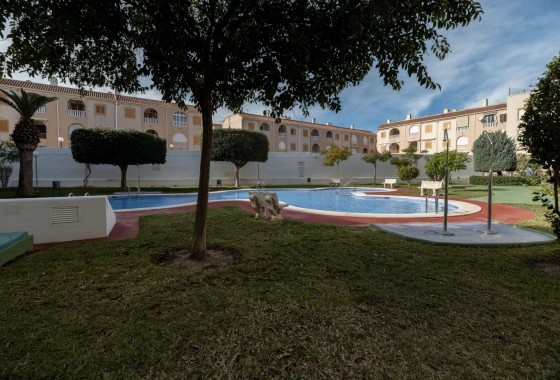 Rynek wtórny - Apartament - Torrevieja - Acequion
