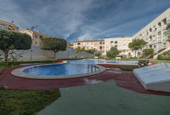 Rynek wtórny - Apartament - Torrevieja - Acequion