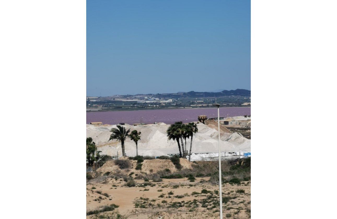 Rynek wtórny - Apartament - Torrevieja - Acequion