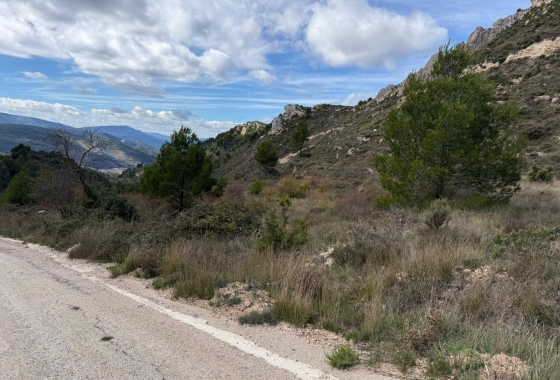 Rynek wtórny - Działka / Grunt - Confrides - Barranc de Xarquera
