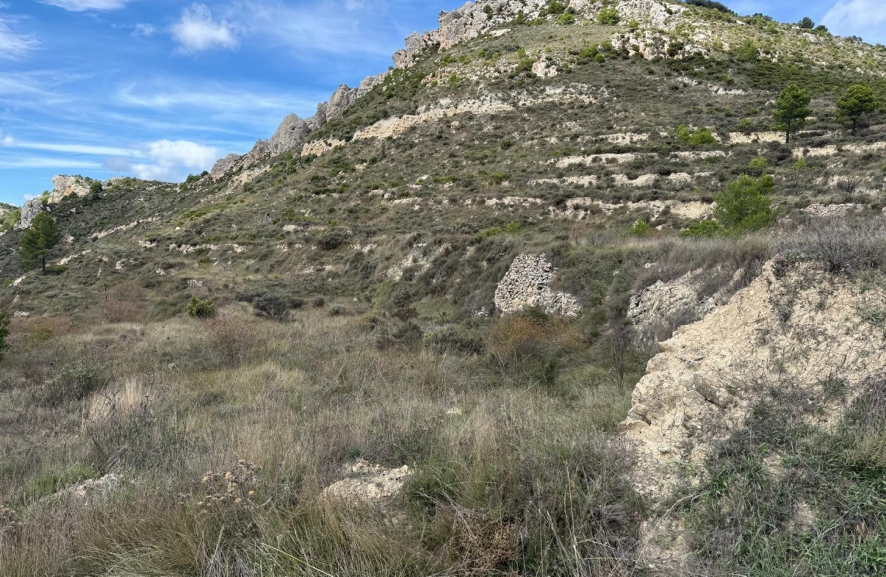 Rynek wtórny - Działka / Grunt - Confrides - Barranc de Xarquera