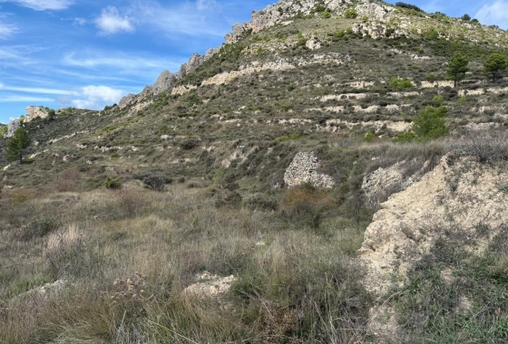 Rynek wtórny - Działka / Grunt - Confrides - Barranc de Xarquera