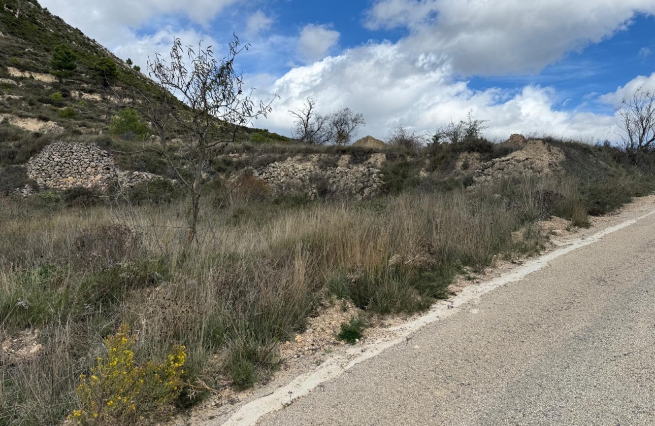 Rynek wtórny - Działka / Grunt - Confrides - Barranc de Xarquera