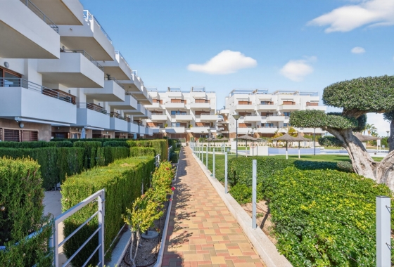 Rynek wtórny - Penthouse - Orihuela Costa - Dehesa de campoamor