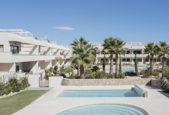Rynek pierwotny - Apartament - Torrevieja