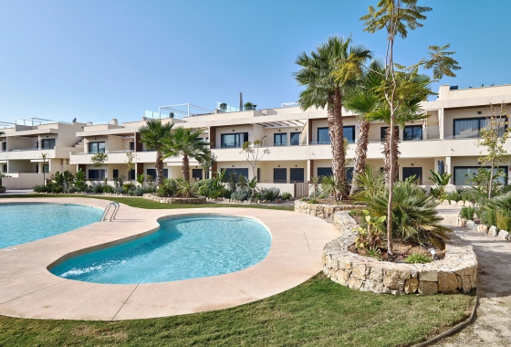 Rynek pierwotny - Apartament - Torrevieja