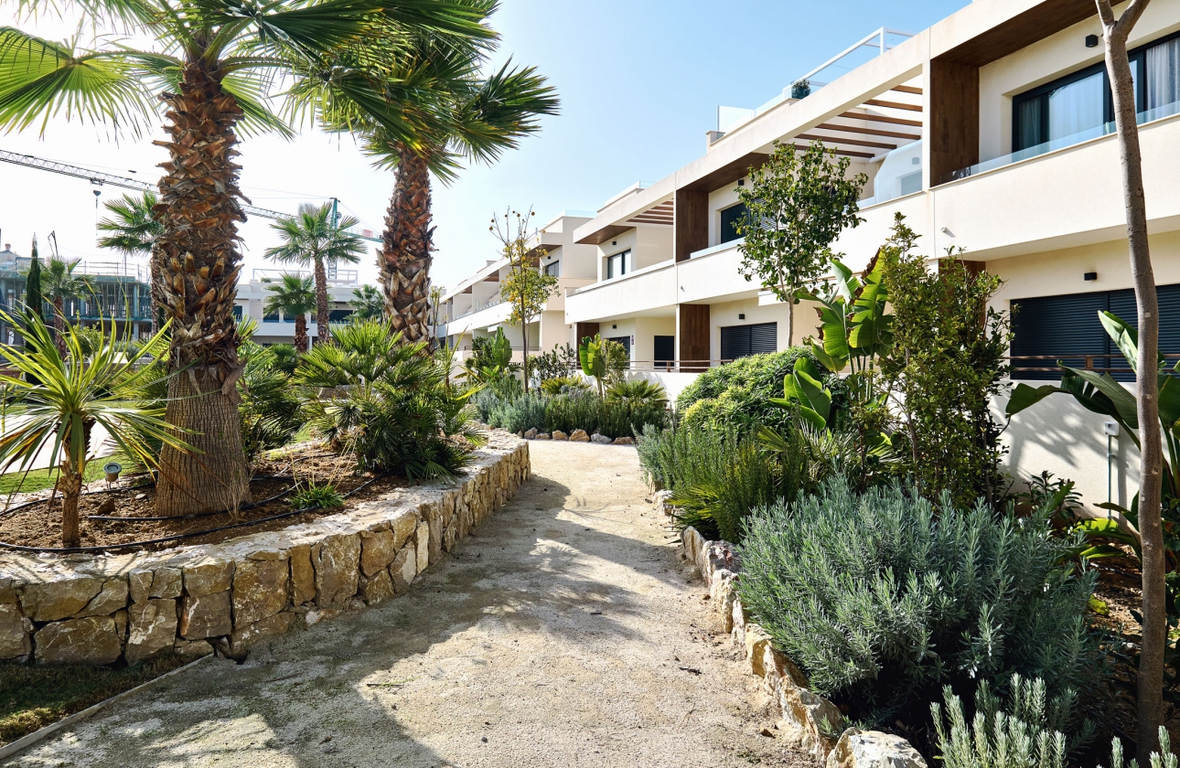 Rynek pierwotny - Apartament - Torrevieja