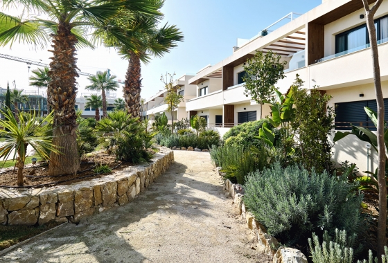 Rynek pierwotny - Apartament - Torrevieja
