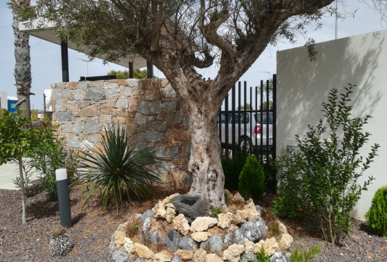 Rynek pierwotny - Apartament - Torrevieja