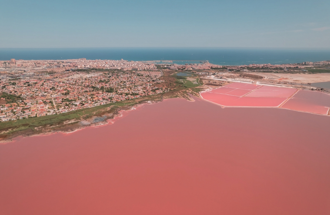 New Build - Bungalow - Torrevieja