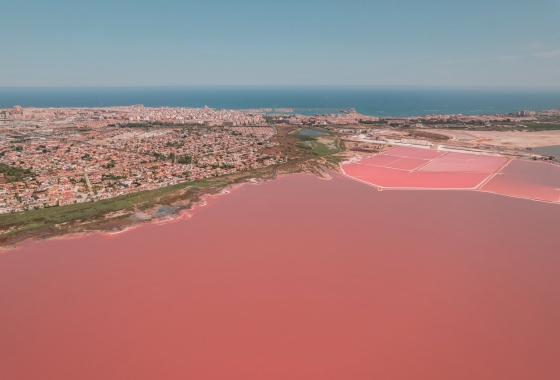 Rynek pierwotny - Apartament - Torrevieja