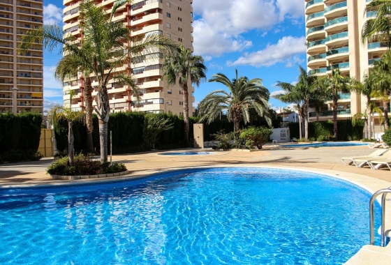 Rynek pierwotny - Apartament - La Manga del Mar Menor - Calp