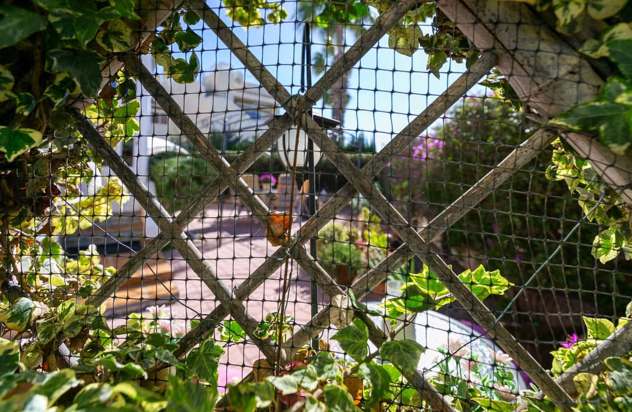 Rynek wtórny - Apartament - Orihuela Costa - Playa Flamenca