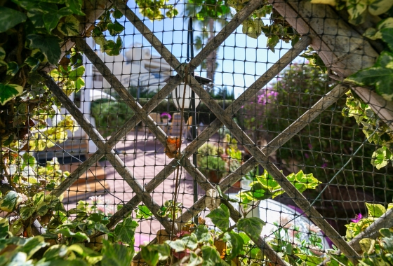 Rynek wtórny - Apartament - Orihuela Costa - Playa Flamenca