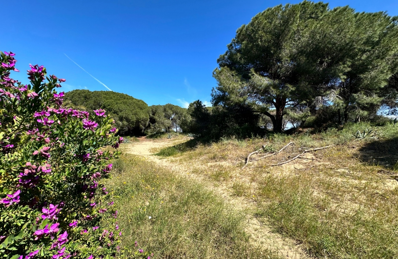 Resale - Townhouse - Guardamar del Segura - Guardamar del segura