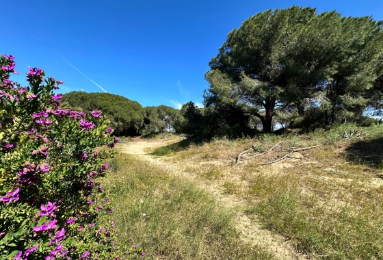 Resale - Townhouse - Guardamar del Segura - Guardamar del segura