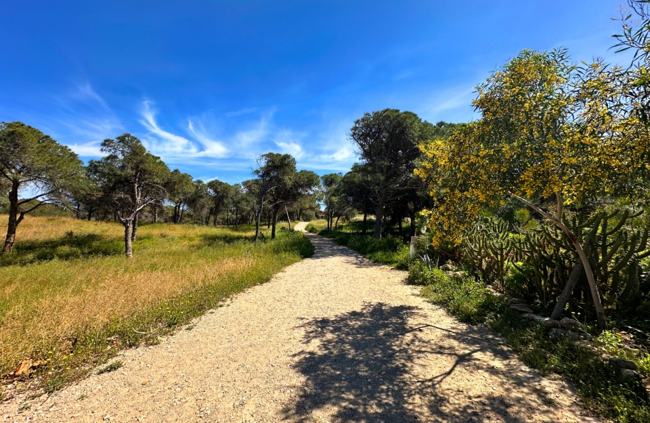 Resale - Townhouse - Guardamar del Segura - Guardamar del segura