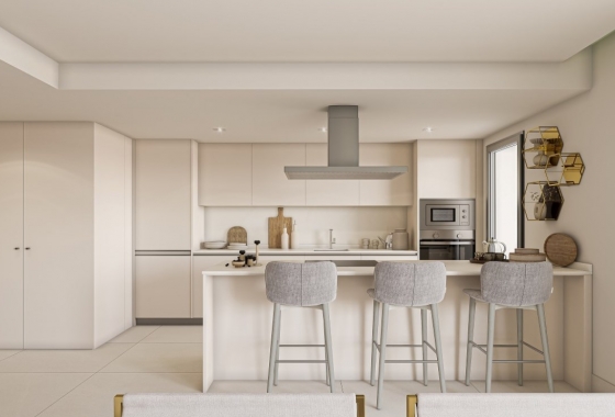 Rynek pierwotny - Penthouse - Manilva