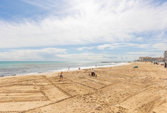 Rynek wtórny - Penthouse - Torrevieja - Playa de los Locos
