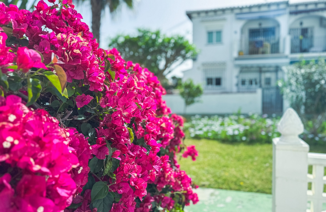 Rynek wtórny - Bungalow - Torrevieja - Lago Jardin