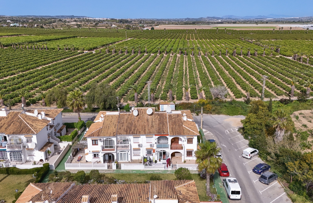 Rynek wtórny - Bungalow - Torrevieja - Lago Jardin
