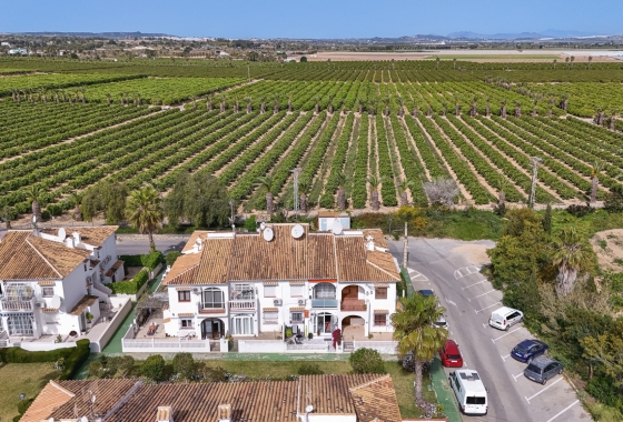 Rynek wtórny - Bungalow - Torrevieja - Lago Jardin
