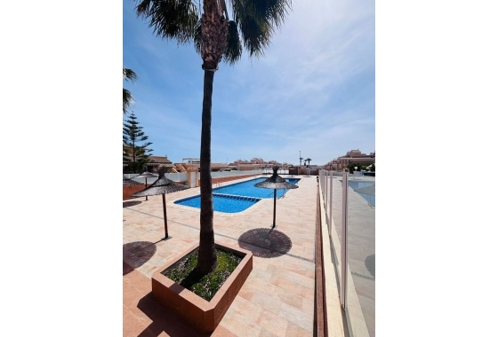Rynek wtórny - Apartament - Torrevieja - Costa Blanca