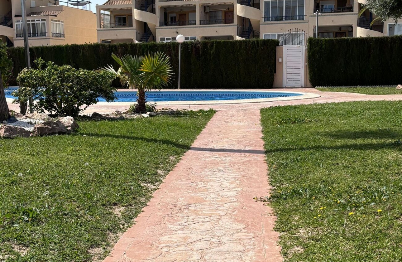 Rynek wtórny - Apartament - Torrevieja - Costa Blanca