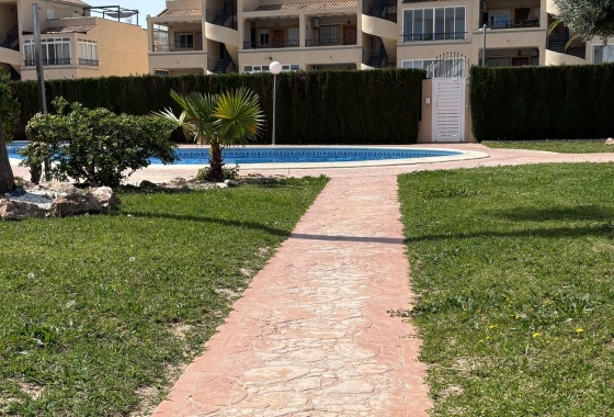 Rynek wtórny - Apartament - Torrevieja - Costa Blanca