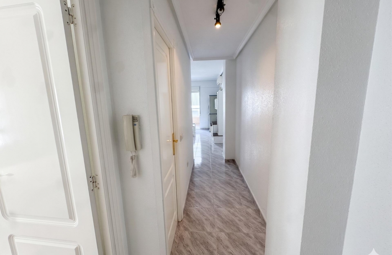 Rynek wtórny - Apartament - Torrevieja - Estacion de autobuses