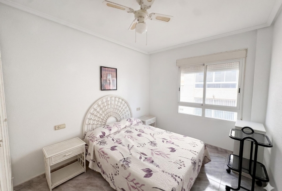 Rynek wtórny - Apartament - Torrevieja - Estacion de autobuses