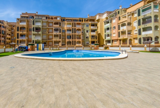 Rynek wtórny - Apartament - Torrevieja - Centro