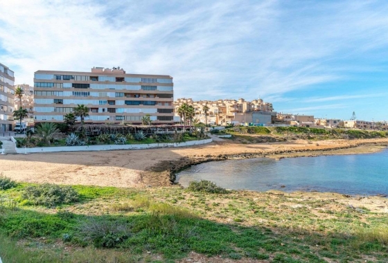 Resale - Apartment - Torrevieja - Cabo cervera
